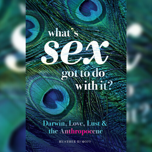 Image of the cover for What's Sex Got to do with it? from the blog post - Are Trees Talking Underground - by Heather Remoff