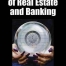 Cover for The Secret Life of Real Estate and Banking by Phillip J Anderson - Shepheard Walwyn Publishers