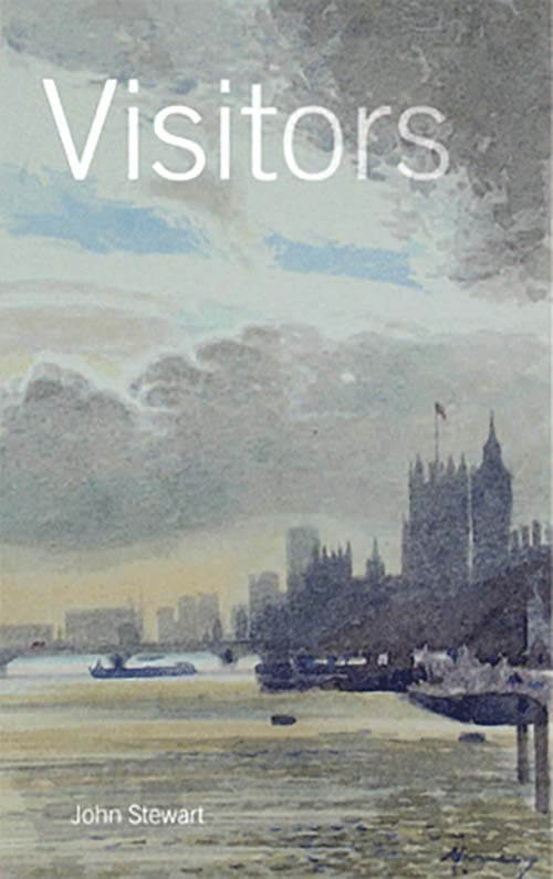 Cover for Visitors by John Stewart - Shepheard Walwyn Publishers