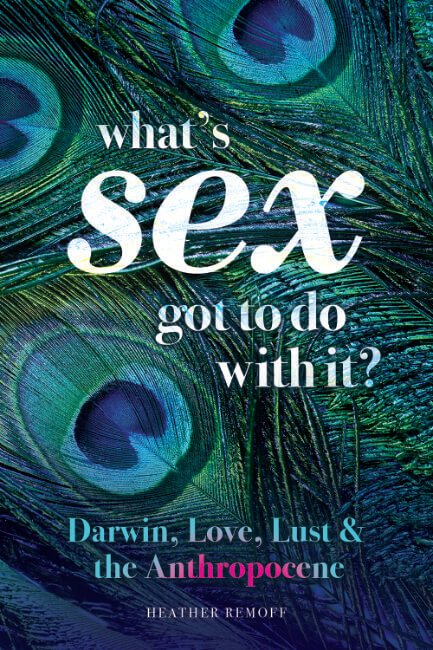 Cover for Whats Sex Got to Do With It? by Heather Remoff - Shepheard Walwyn Publishers