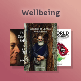 Wellbeing Category